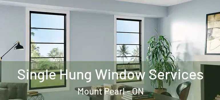 Single Hung Window Services Mount Pearl - ON