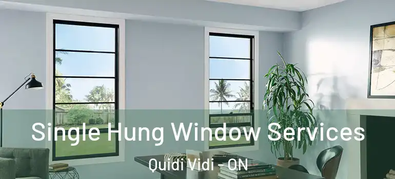 Single Hung Window Services Quidi Vidi - ON