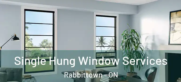  Single Hung Window Services Rabbittown - ON