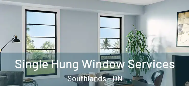 Single Hung Window Services Southlands - ON