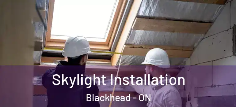 Skylight Installation Blackhead - ON
