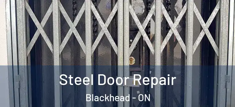 Steel Door Repair Blackhead - ON