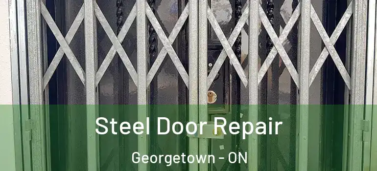 Steel Door Repair Georgetown - ON