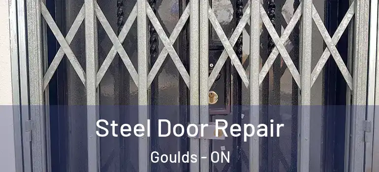 Steel Door Repair Goulds - ON