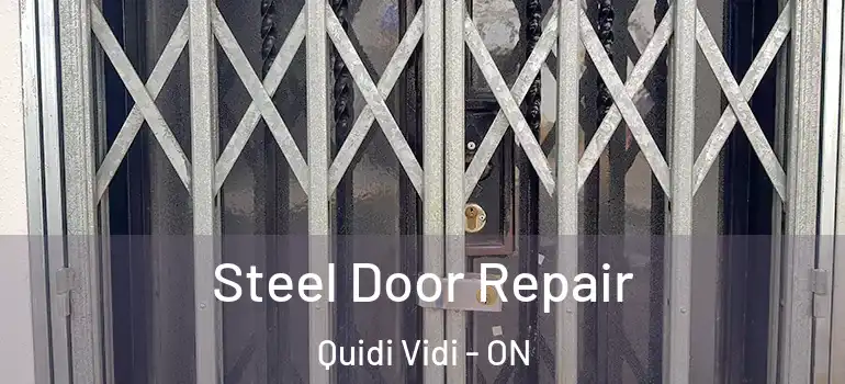 Steel Door Repair Quidi Vidi - ON