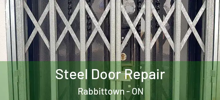 Steel Door Repair Rabbittown - ON