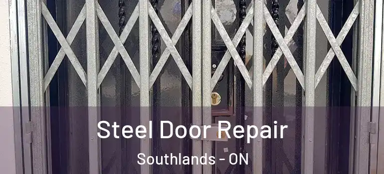 Steel Door Repair Southlands - ON