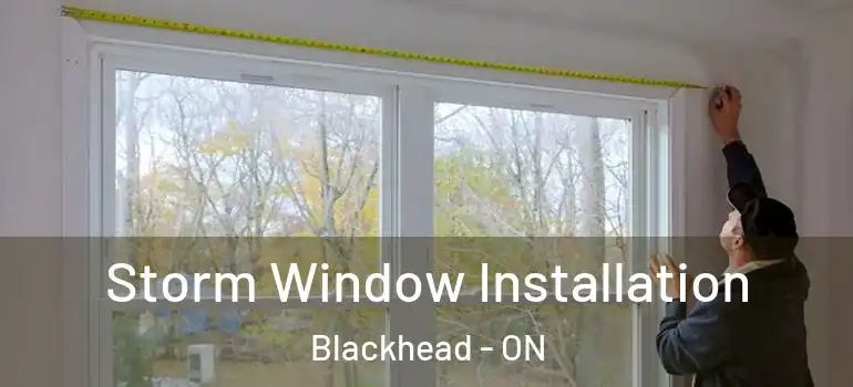 Storm Window Installation Blackhead - ON