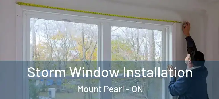 Storm Window Installation Mount Pearl - ON