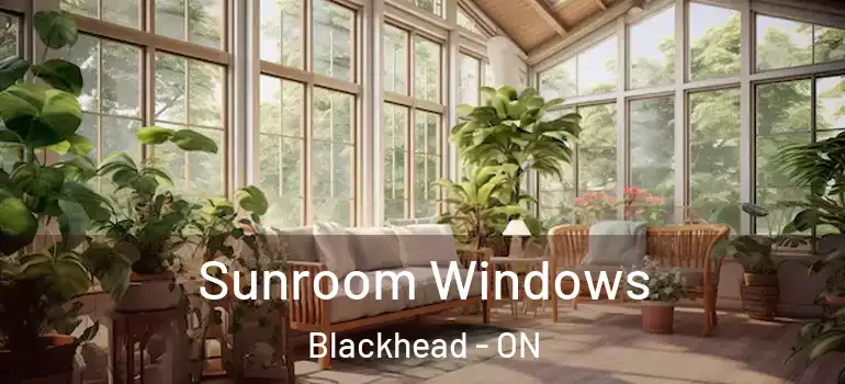  Sunroom Windows Blackhead - ON