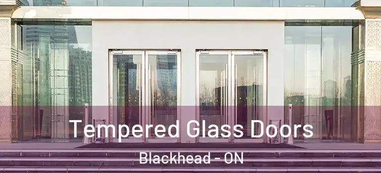 Tempered Glass Doors Blackhead - ON