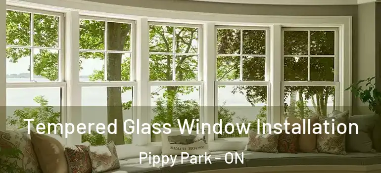 Tempered Glass Window Installation Pippy Park - ON