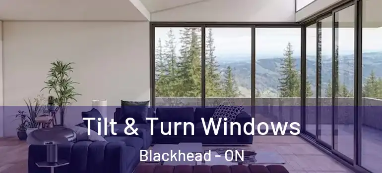 Tilt & Turn Windows Blackhead - ON
