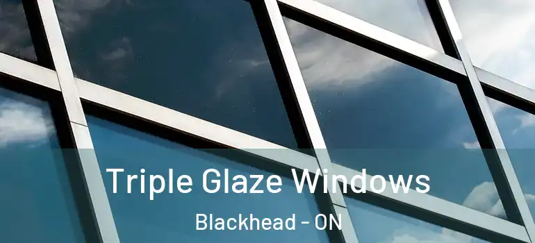  Triple Glaze Windows Blackhead - ON