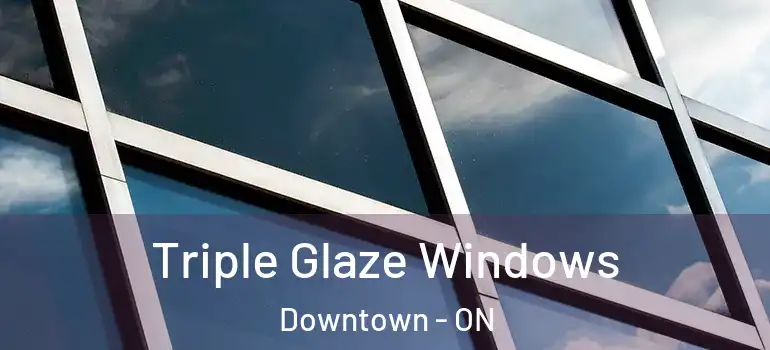  Triple Glaze Windows Downtown - ON
