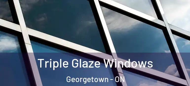  Triple Glaze Windows Georgetown - ON