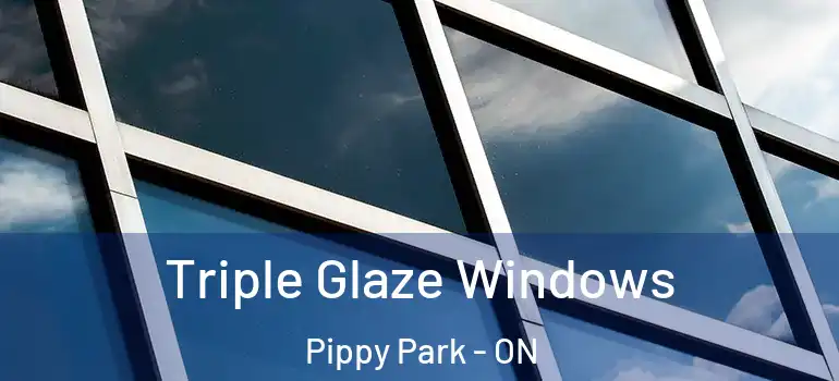  Triple Glaze Windows Pippy Park - ON