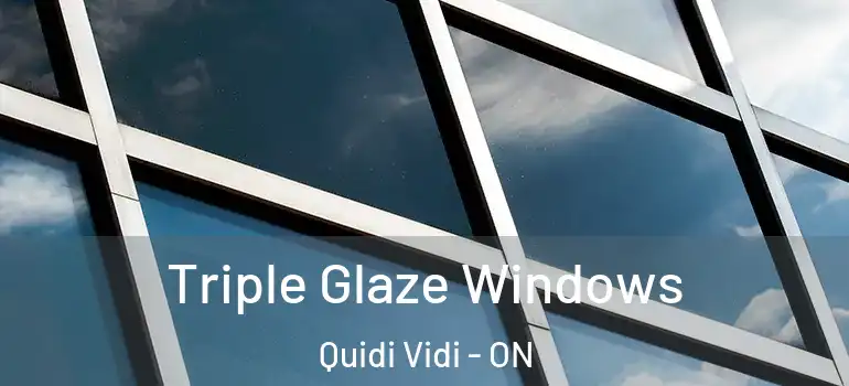 Triple Glaze Windows Quidi Vidi - ON