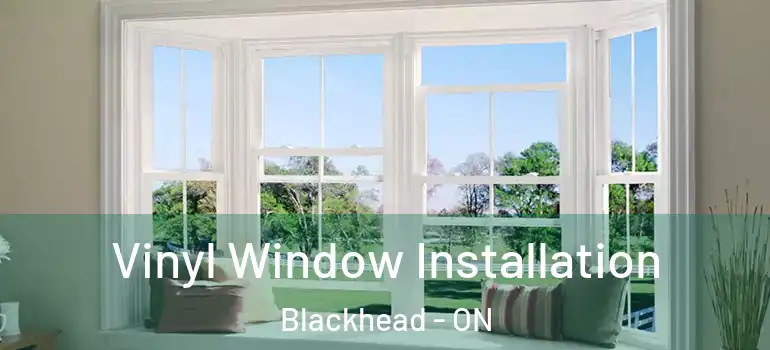 Vinyl Window Installation Blackhead - ON