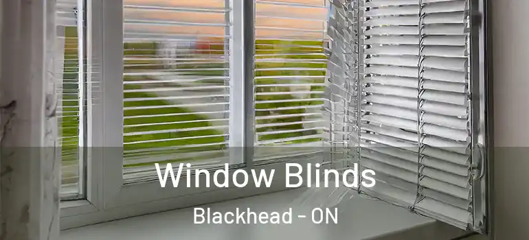 Window Blinds Blackhead - ON