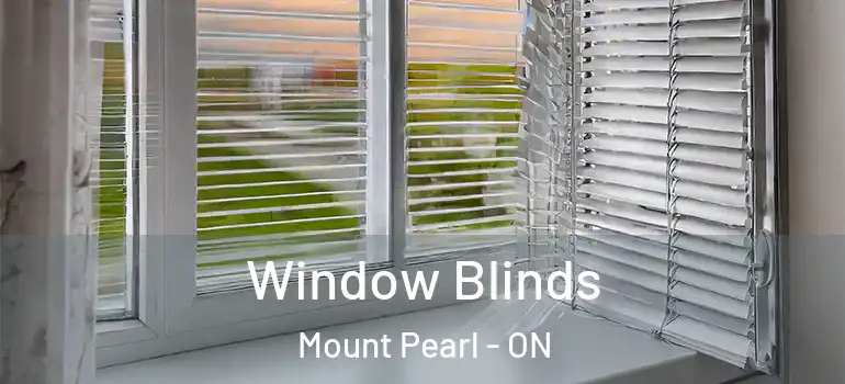 Window Blinds Mount Pearl - ON