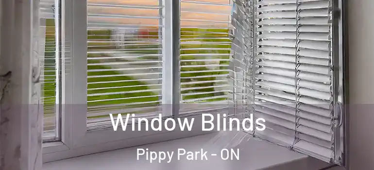 Window Blinds Pippy Park - ON