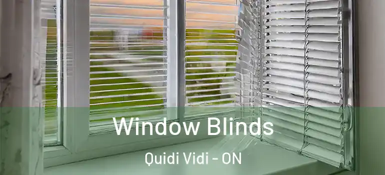 Window Blinds Quidi Vidi - ON