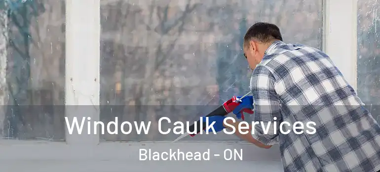 Window Caulk Services Blackhead - ON