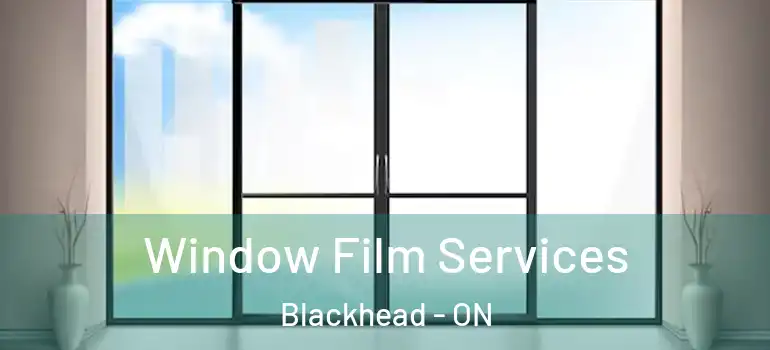 Window Film Services Blackhead - ON