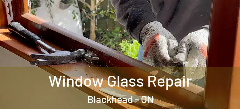 Window Glass Repair Blackhead - ON