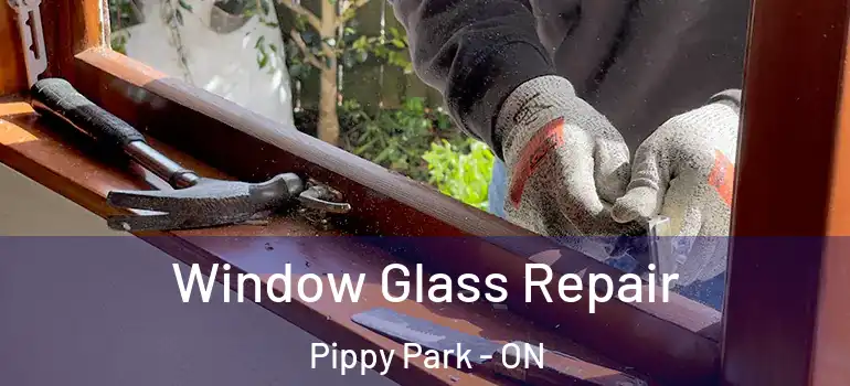 Window Glass Repair Pippy Park - ON