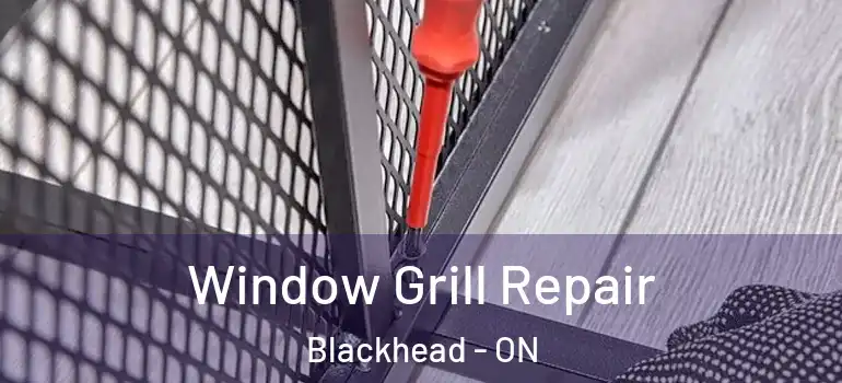 Window Grill Repair Blackhead - ON