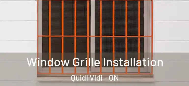 Window Grille Installation Quidi Vidi - ON