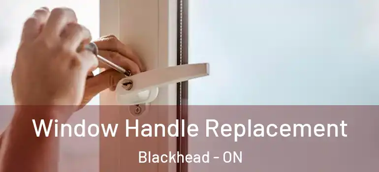  Window Handle Replacement Blackhead - ON