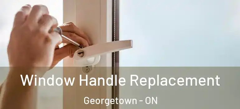  Window Handle Replacement Georgetown - ON
