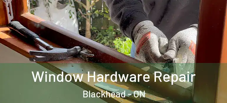 Window Hardware Repair Blackhead - ON