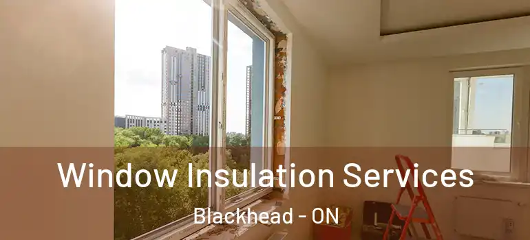 Window Insulation Services Blackhead - ON
