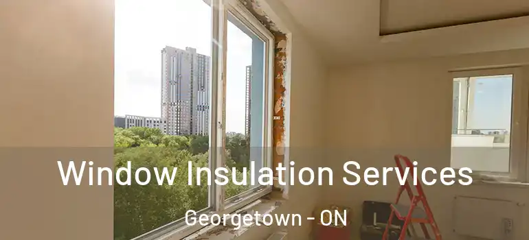 Window Insulation Services Georgetown - ON