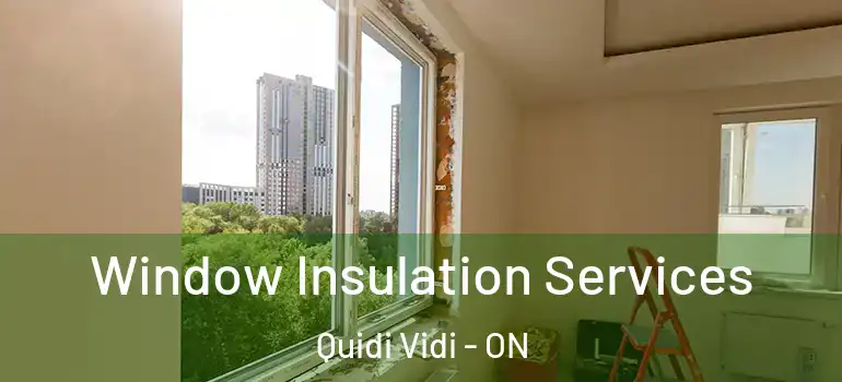 Window Insulation Services Quidi Vidi - ON