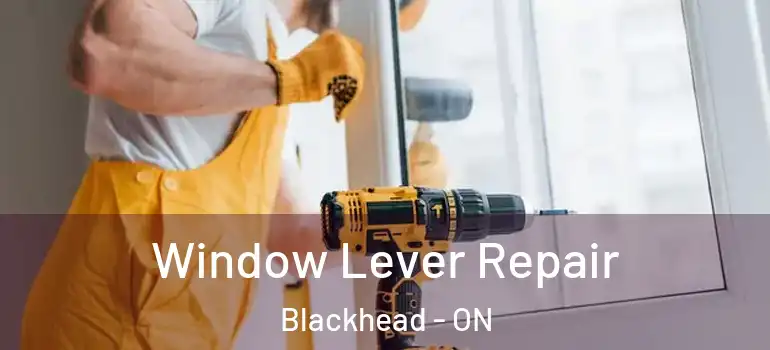 Window Lever Repair Blackhead - ON