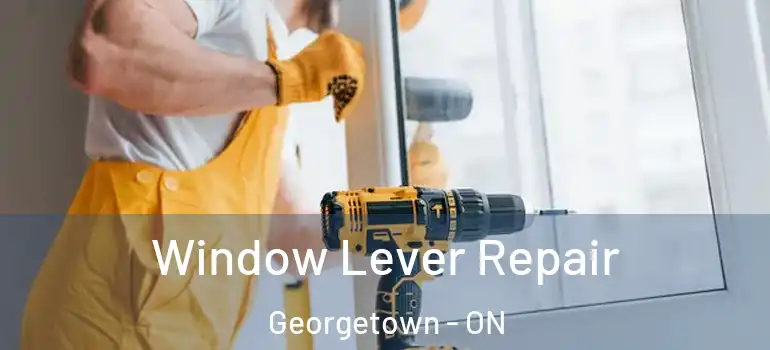 Window Lever Repair Georgetown - ON