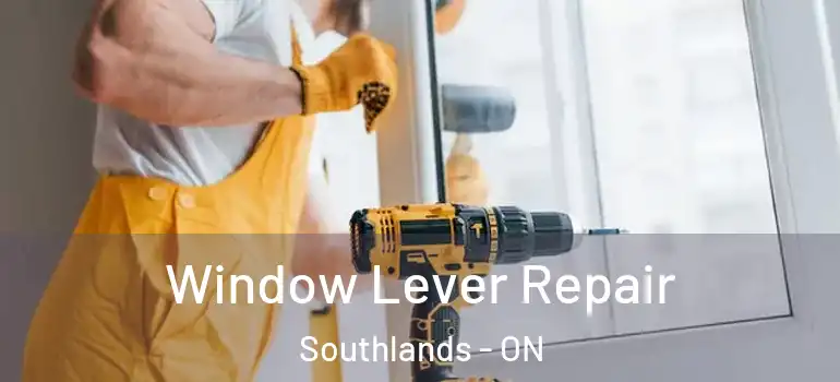  Window Lever Repair Southlands - ON