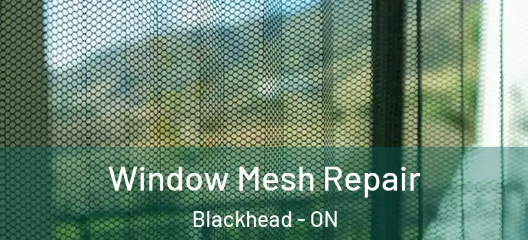 Window Mesh Repair Blackhead - ON