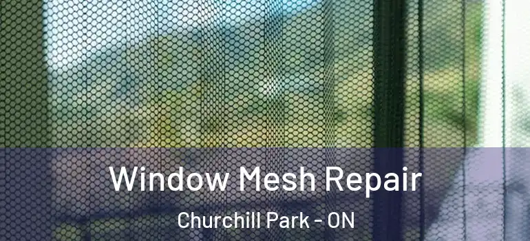  Window Mesh Repair Churchill Park - ON