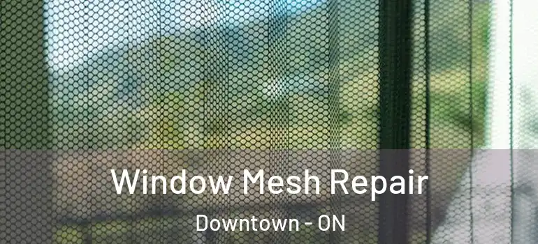 Window Mesh Repair Downtown - ON