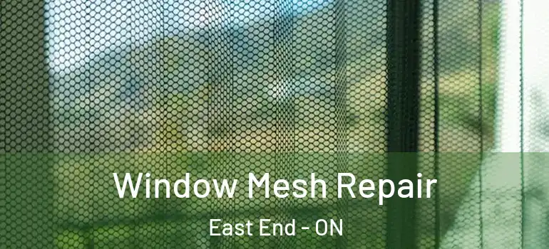Window Mesh Repair East End - ON