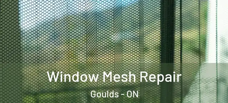 Window Mesh Repair Goulds - ON
