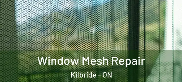 Window Mesh Repair Kilbride - ON