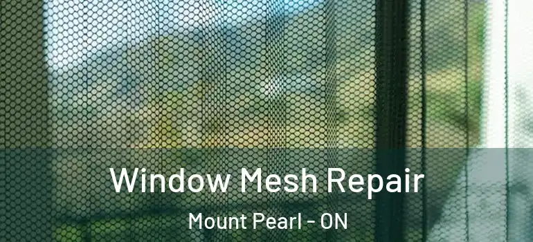 Window Mesh Repair Mount Pearl - ON