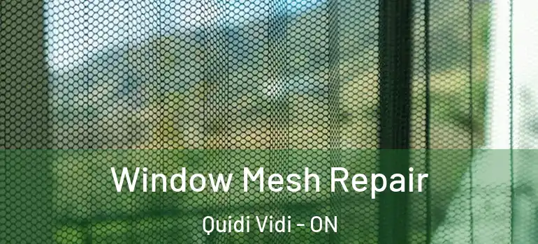 Window Mesh Repair Quidi Vidi - ON